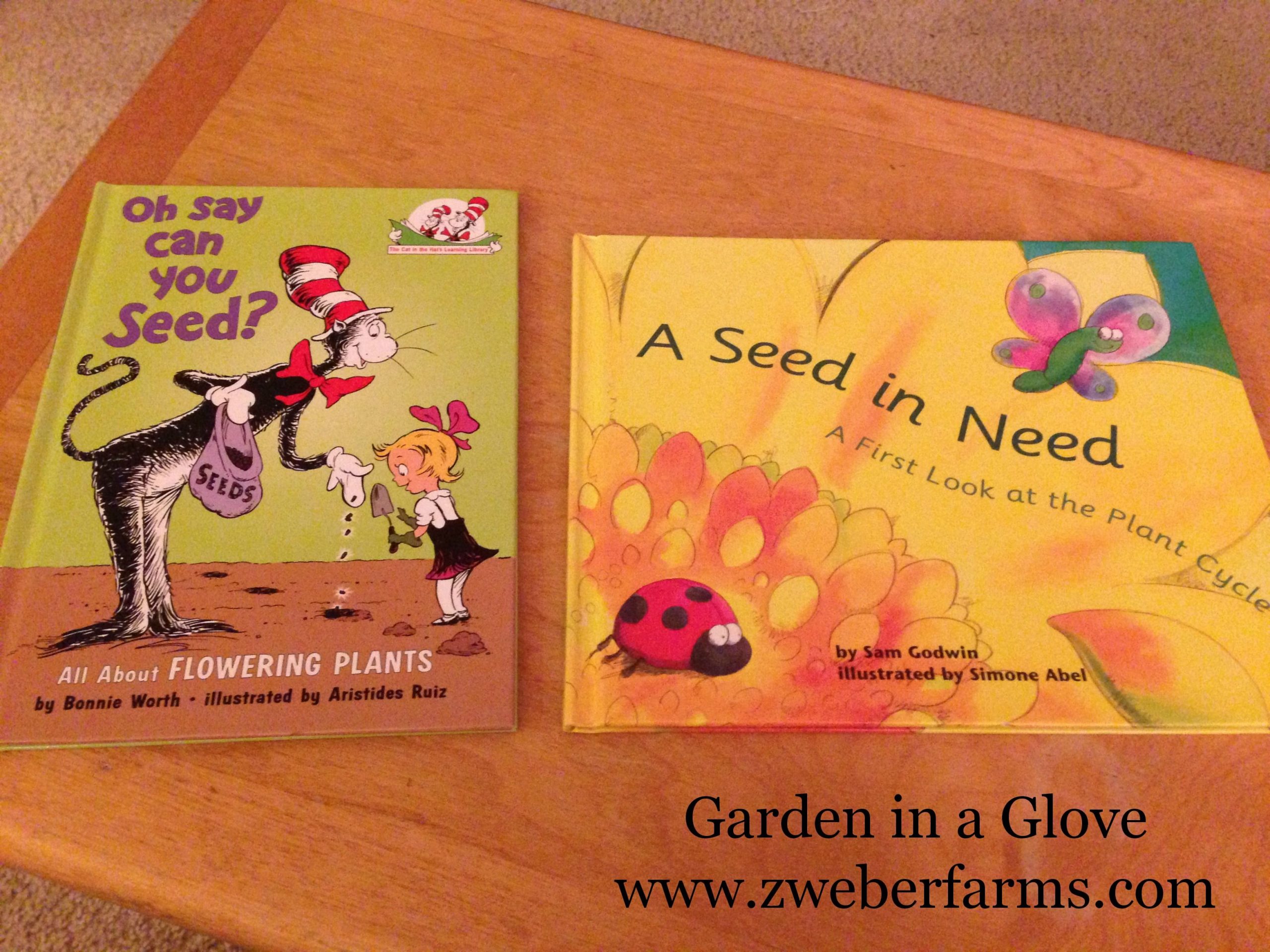 Free Farm Lesson Plans: Garden In A Glove | Farm Lessons