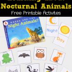 Free Nocturnal Animals Printables | Nocturnal Animals