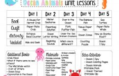 Commotion In The Ocean Lesson Plans Preschool