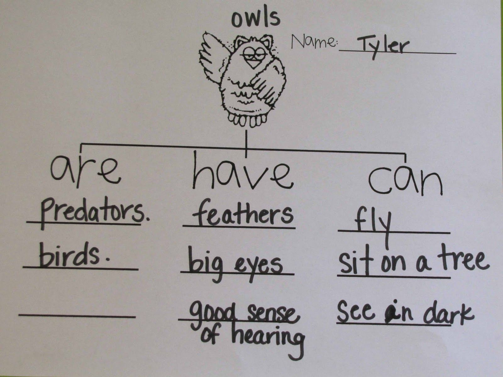 Free Owl Moon Worksheets | Kids Crafts Kids Activities