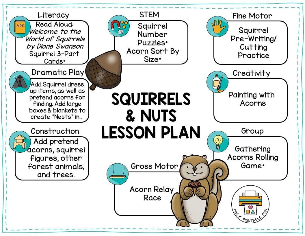 Free Preschool Squirrels And Nuts Lesson Plan Is Available