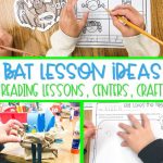 Fun Bat Lesson Plan Ideas For Kindergarten And First Grade