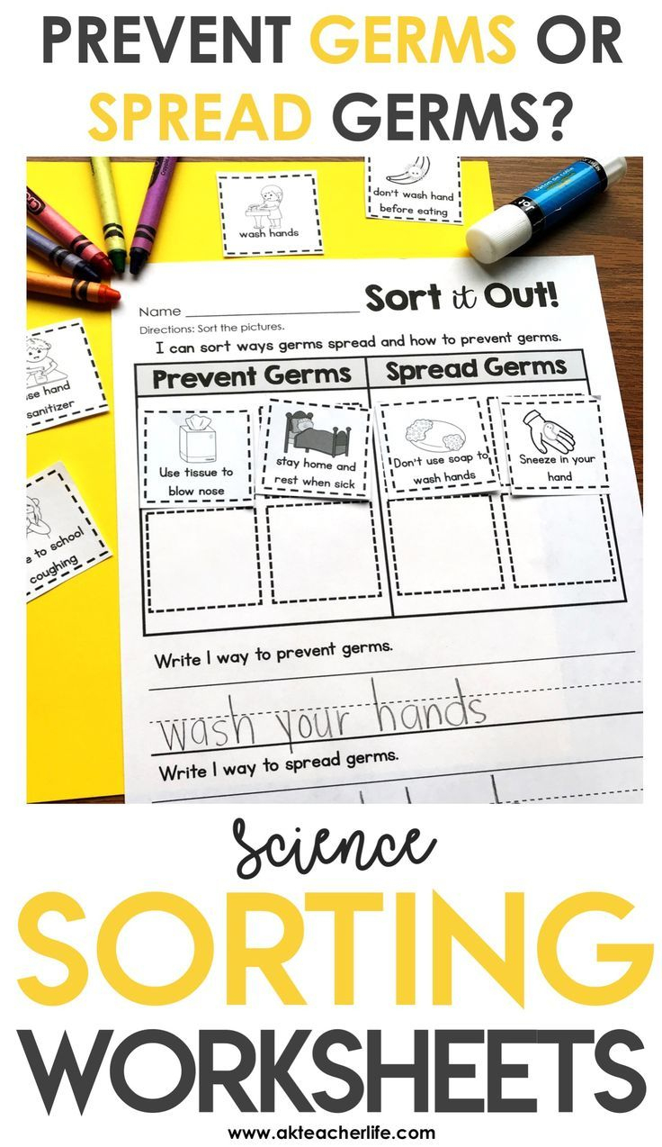 Germs Sort | First Grade Lessons, Kindergarten Science, Pe