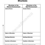 Grade 3 Science   Structures Activity Sheet | Third Grade