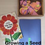 Growing A Seed Storytime | Preschool Garden, Seeds Preschool