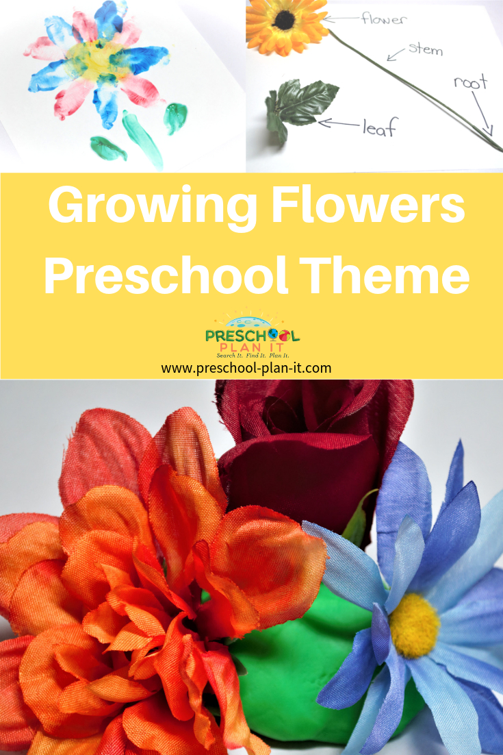 Growing Flowers Preschool Theme