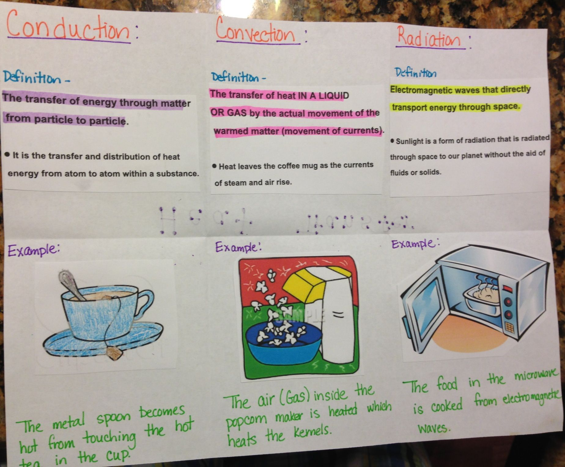 Heat Transfer Foldable | Science Teaching Resources, Science