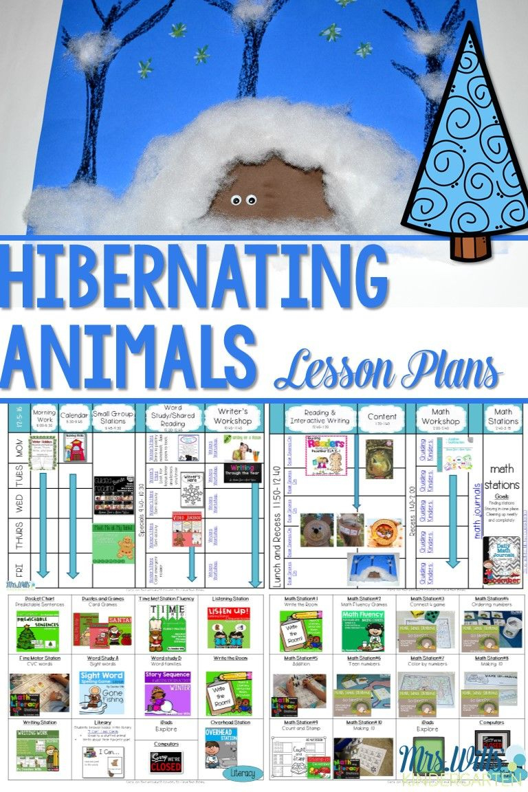 Hibernating Animals Lesson Plans For Kindergarten