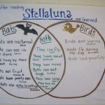 Higher Order Thinking Done After Reading "stellaluna