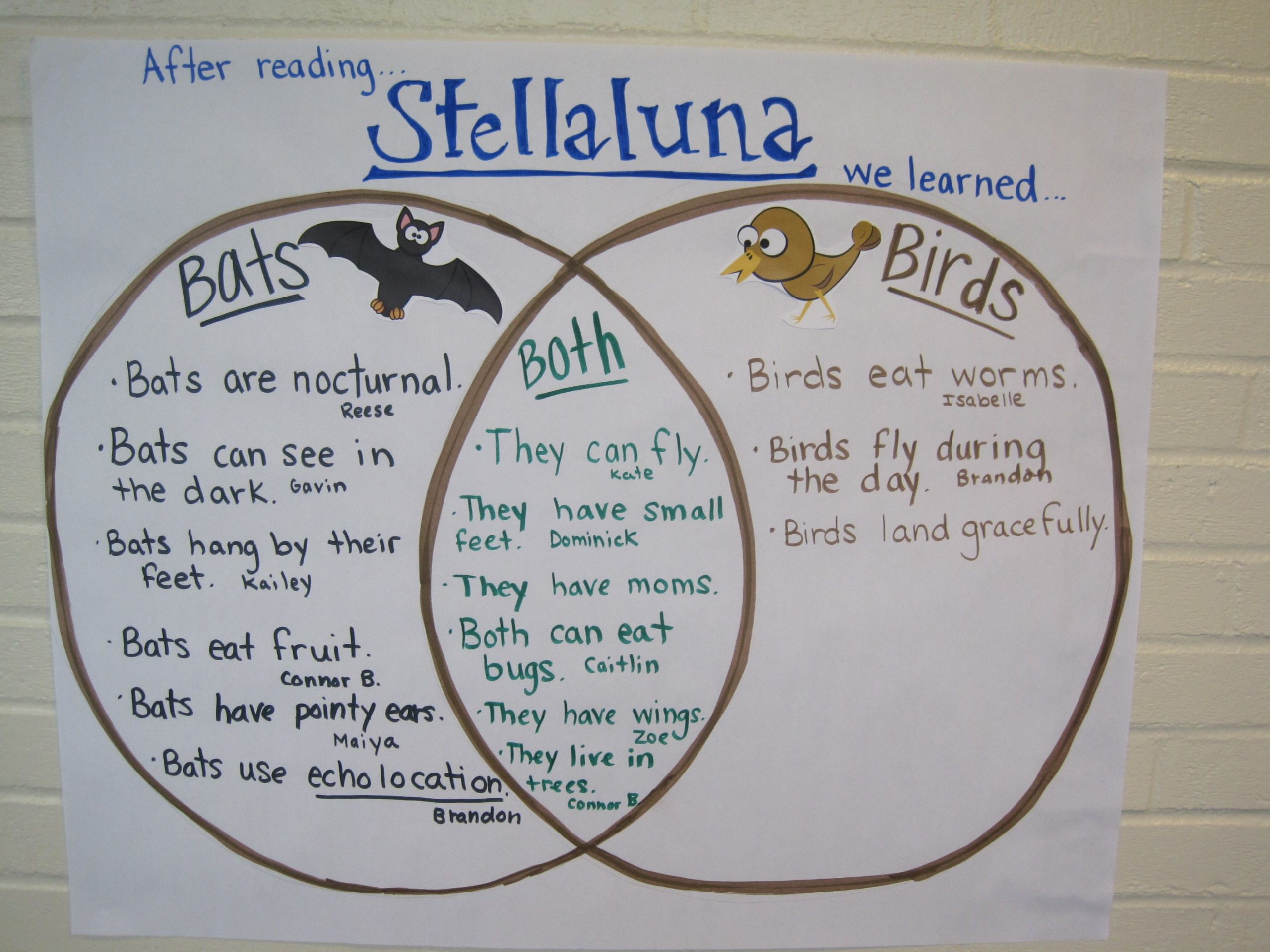 Higher Order Thinking Done After Reading &amp;quot;stellaluna
