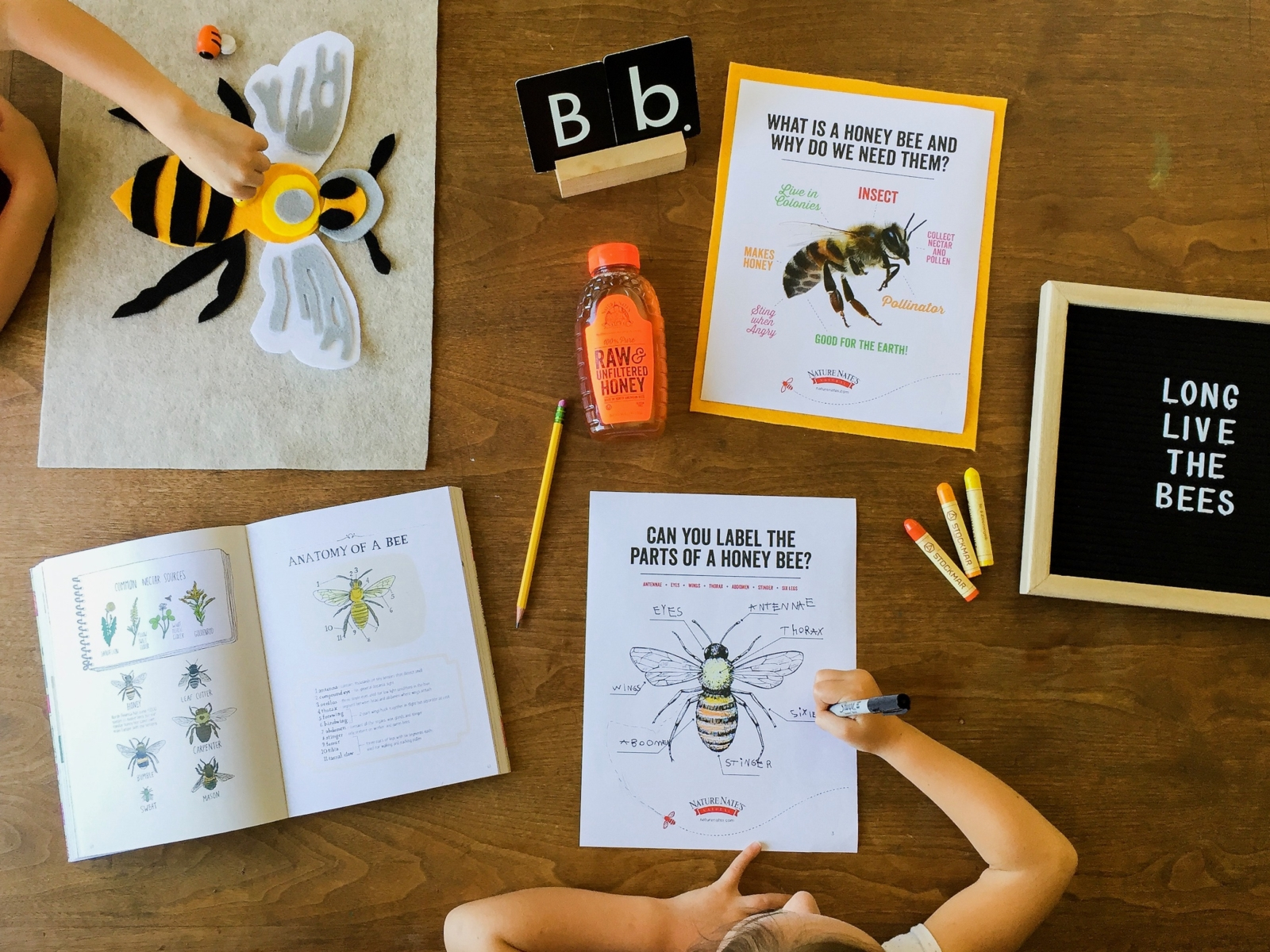 Honey For Teachers: Free-Bee Lesson Plans For Educators