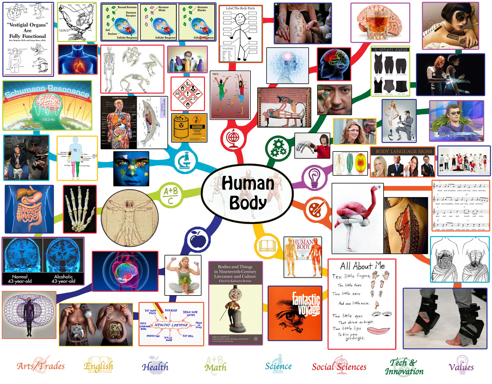 Human Body Lesson Plan: All Subjects | Any Age | Any
