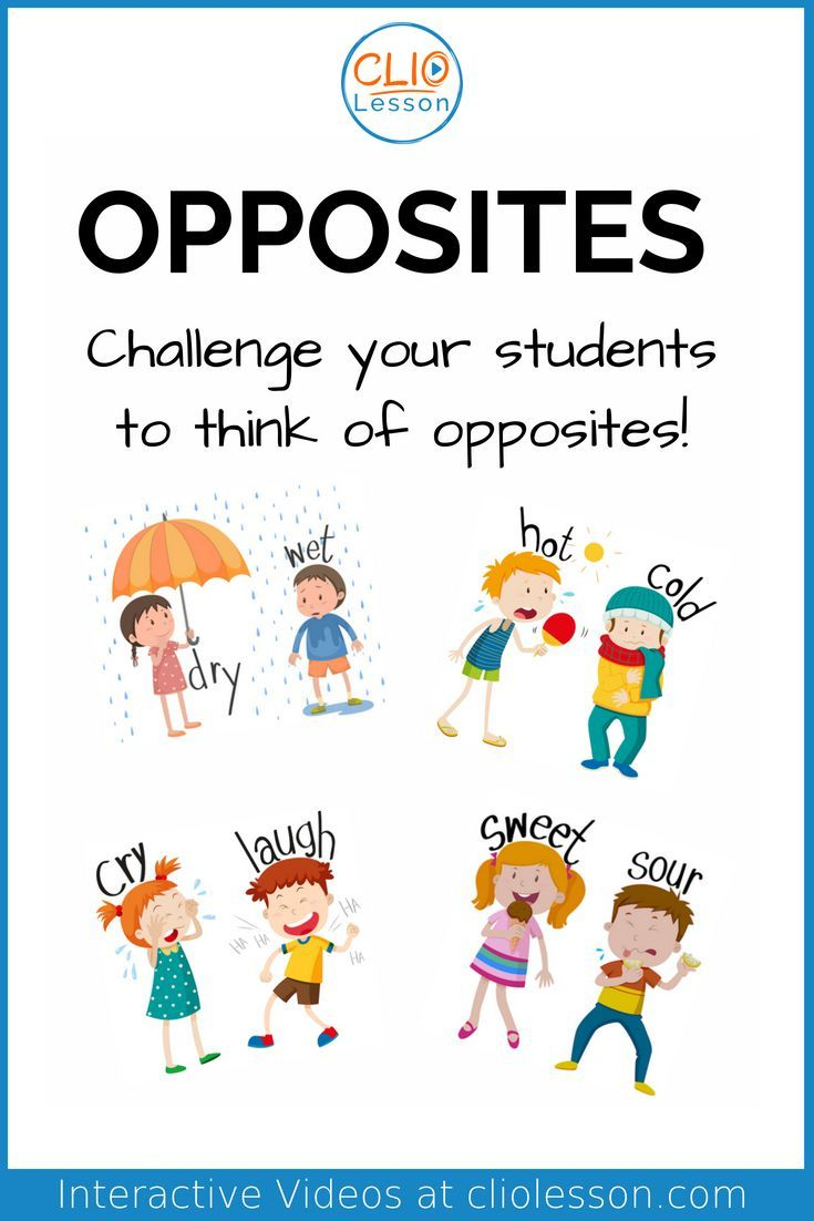 In This Lesson On Opposites, Students Will Be Able To