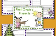 Inquiry Based Science Lesson Plans For 2nd Grade