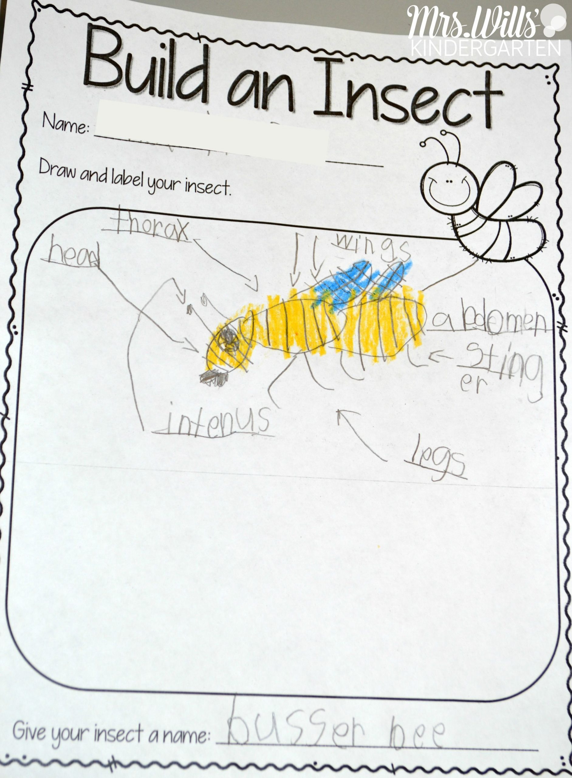 Insect Lesson Plans For Kindergarten | Kindergarten Lesson