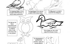 Birds Lesson Plan For Kindergarten