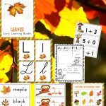 Kindergarten And Preschool Leaf Theme Lesson Plan