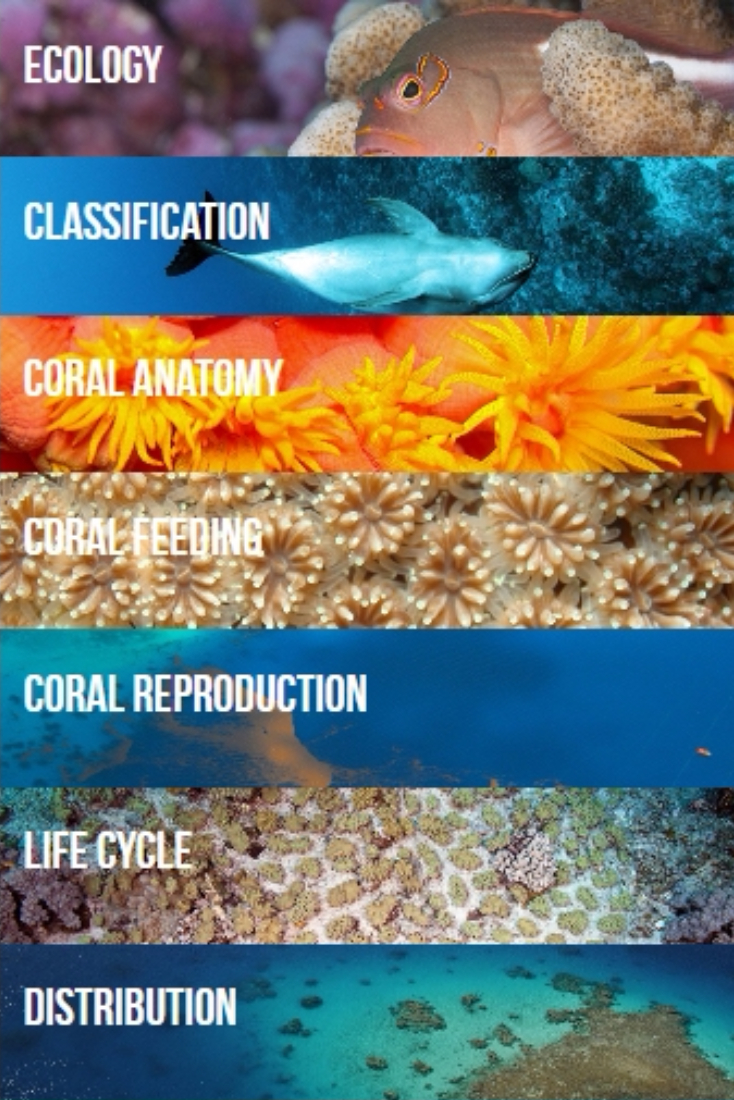 Kslof Coral Reef Education Portal: My Dashboard | High