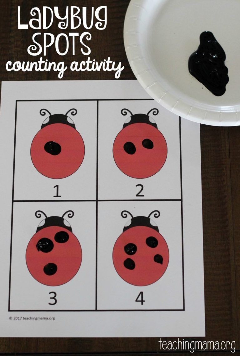Ladybug Spots Counting Activity | Bug Activities, Counting