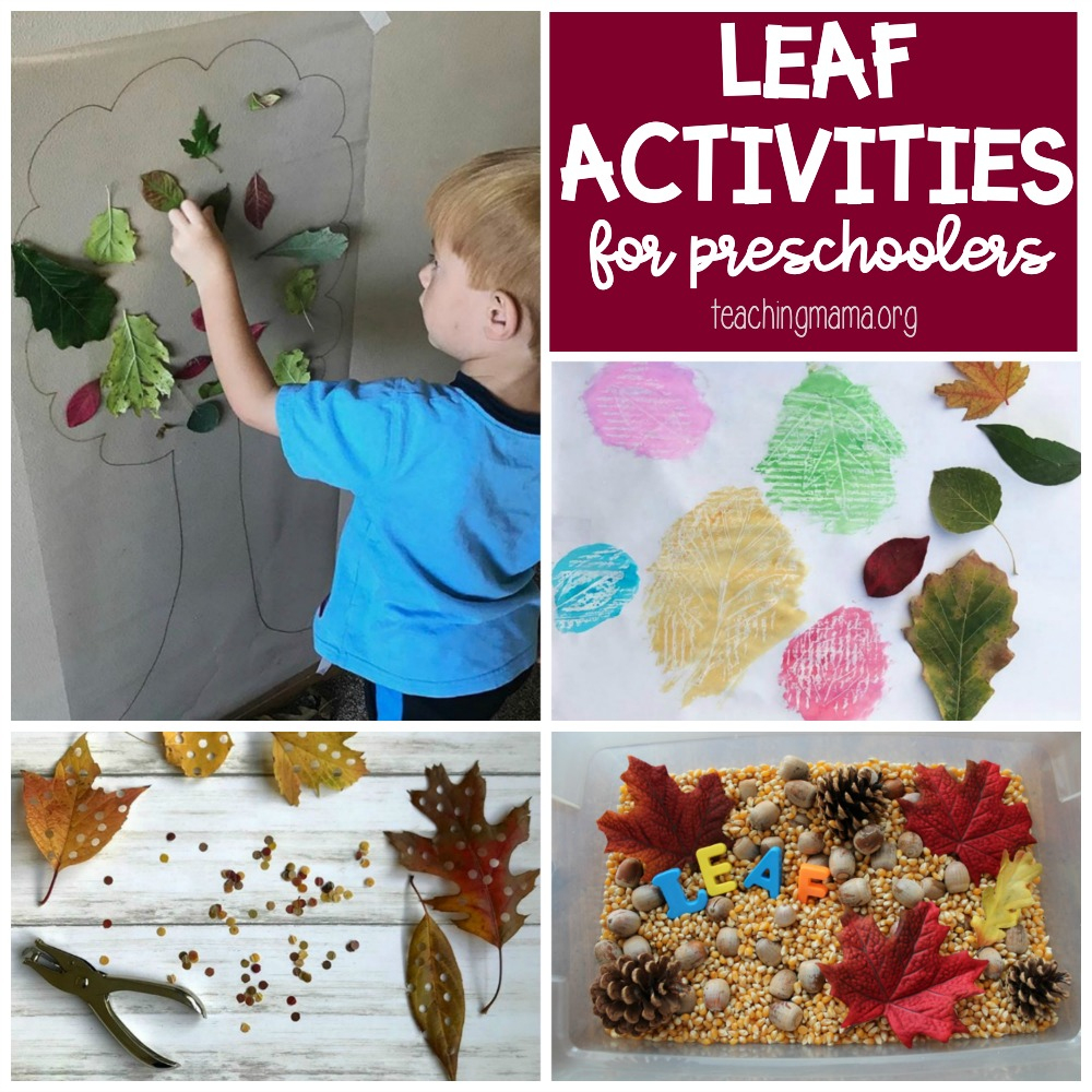 Leaf Activities For Preschoolers - Teaching Mama