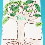 Learning About Trees | Tree Study, Creative Curriculum