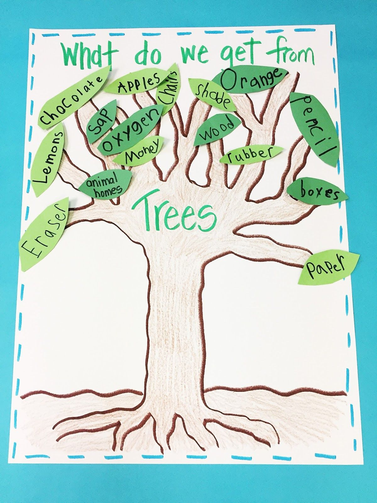 Learning About Trees | Tree Study, Creative Curriculum
