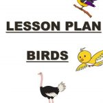 Lesson Plan On Birds../kindergarten Lesson Plan/ Preschool Teaching.