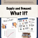 Lesson Plan Teaching The Law Of Supply And Demand