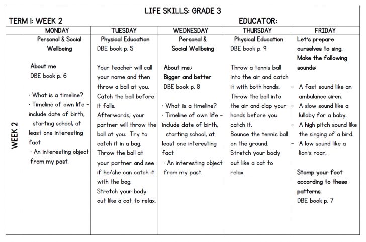lesson planning life skills grade 3 term 1 lesson plans