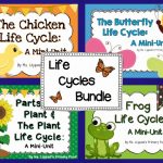 Life Cycle Activities | Life Cycles, Kindergarten Science
