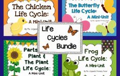 Pond Life Lesson Plans For Kindergarten