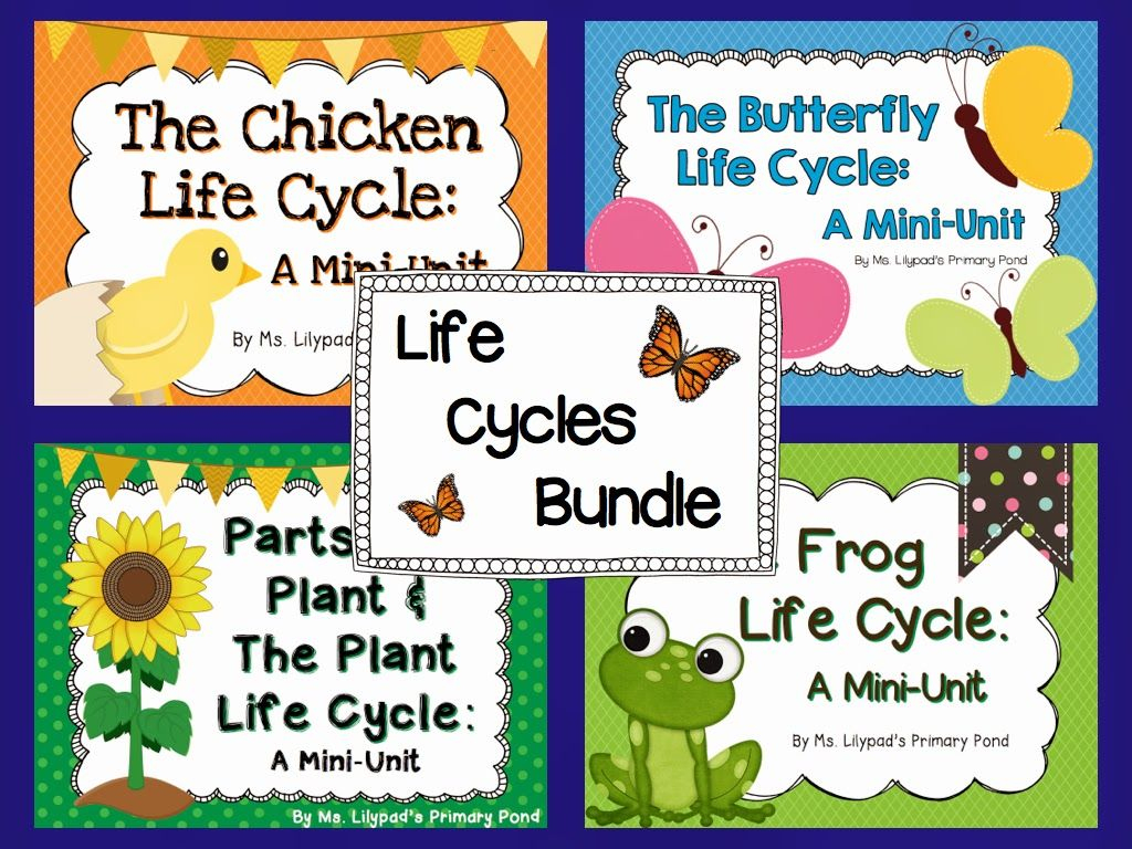 Life Cycle Activities | Life Cycles, Kindergarten Science