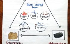 First Grade Science Lesson Plans