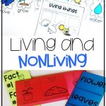 Living And Nonliving Things Activities | Kindergarten Lesson