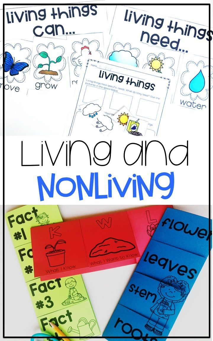 Living And Nonliving Things Activities | Kindergarten Lesson
