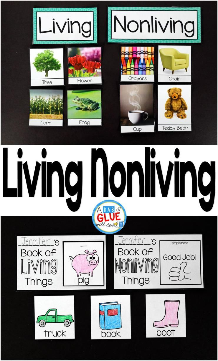 Living Nonliving | Science Lessons, Kindergarten Lessons