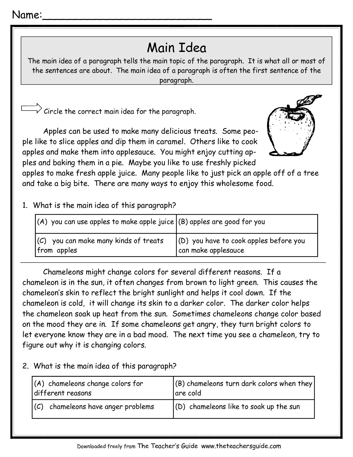 Main Idea - Lessons - Tes Teach