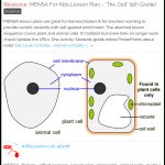 Mensa For Kids Lesson Plan   "the Cell" (5Th Grade). Mensa