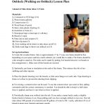 Mind Trekkers Oobleck (Walking On Oobleck) Lesson Plan Pages