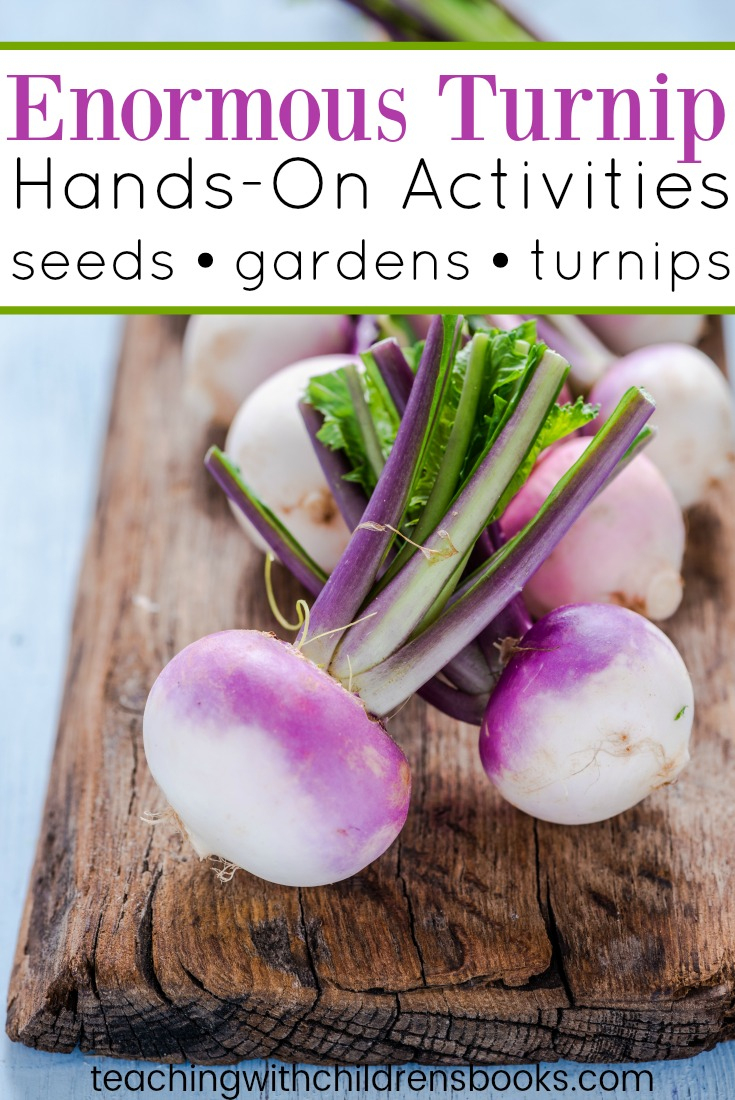 More Than 10 Hands-On The Enormous Turnip Activities