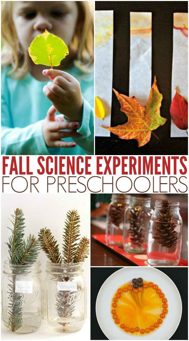 Must-Try Simple Fall Science Activities - Preschool Inspirations