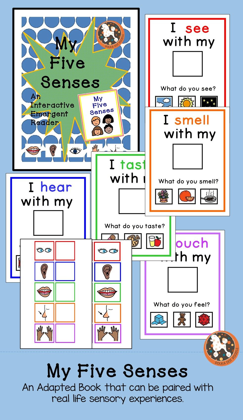 My 5 Sensesan Interactive Emergent Reader With Boardmaker