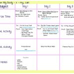 My Body Lesson Plan : All About Me Crafts And Learning
