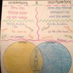 My Compare/contrast Anchor Chart! | Compare Contrast Anchor