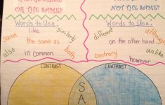 3rd Grade Compare And Contrast Lesson Plan