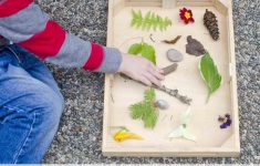 Outdoor Lesson Plans For Preschoolers