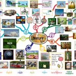 Nature Lesson Plan: All Subjects | Any Age | Any Learning