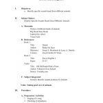 Newest Traditional Lesson Plan In English A Detailed Lesson