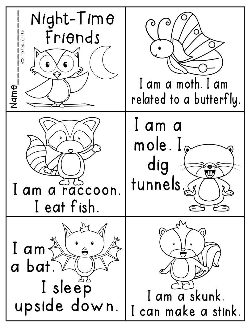 Nocturnal Animals | Nocturnal Animals Kindergarten