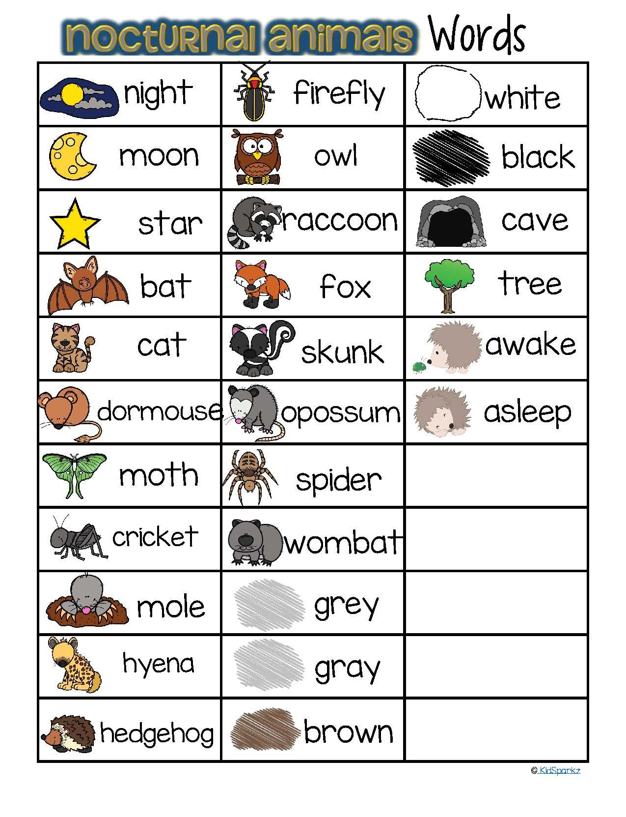 Nocturnal Animals Vocabulary Words List Free | Nocturnal